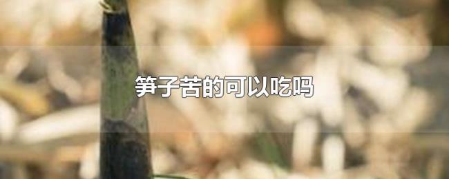 笋子苦的可以吃吗 笋子苦的可以吃吗