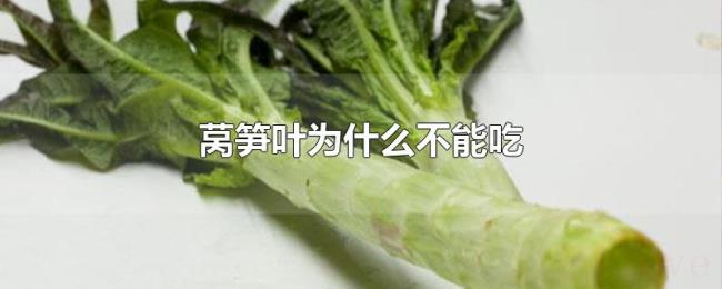 莴笋叶为什么不能吃 莴笋叶为什么不能吃