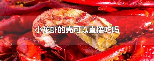 小龙虾的壳可以直接吃吗 小龙虾的壳可以直接吃吗