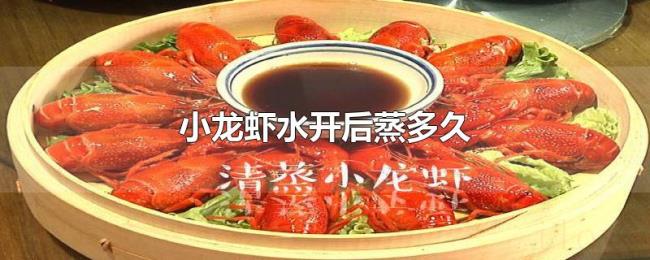 小龙虾水开后蒸多久