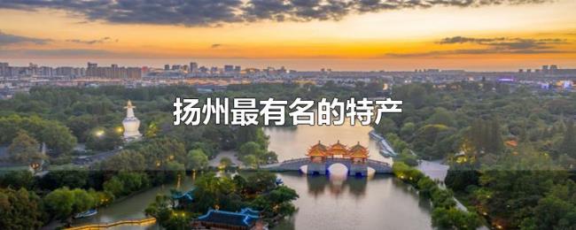 扬州最有名的土特产