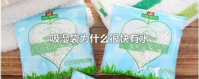 吸湿袋为什么很快有水 吸湿袋为什么很快有水