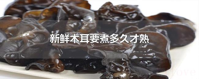 新鲜木耳要煮多久才熟