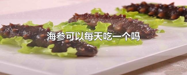 海参可以每天吃一个吗