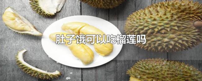 肚子饿可以吃榴莲吗 肚子饿可以吃榴莲吗