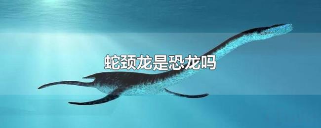 蛇颈龙是恐龙吗 蛇颈龙是恐龙吗