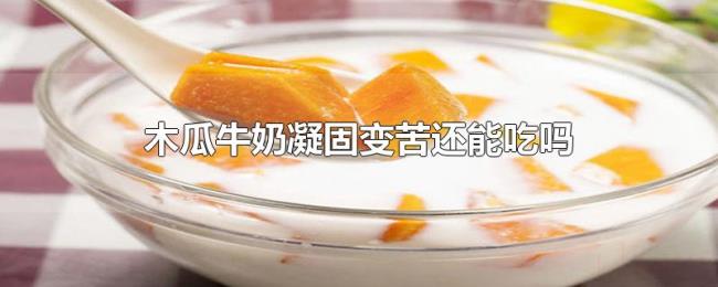 木瓜牛奶凝固变苦还能吃吗 木瓜牛奶凝固变苦还能吃吗