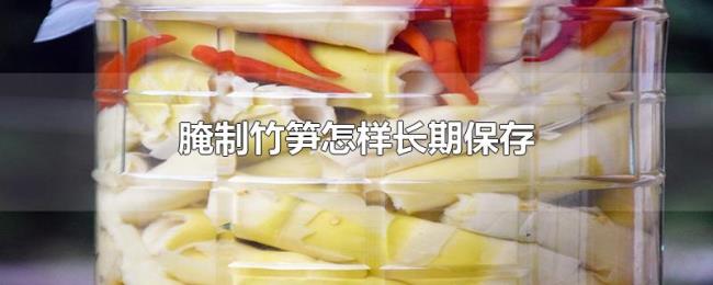 腌制竹笋怎样长期保存 腌制竹笋怎样长期保存