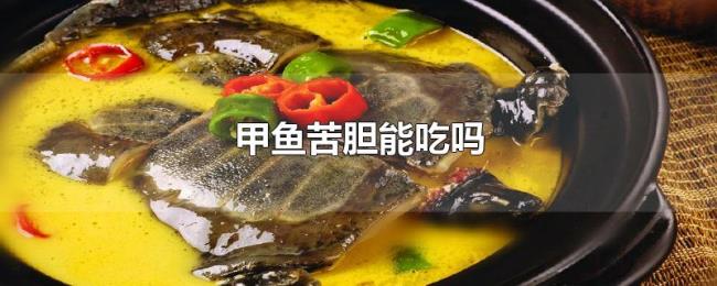 甲鱼苦胆能吃吗 甲鱼苦胆能吃吗