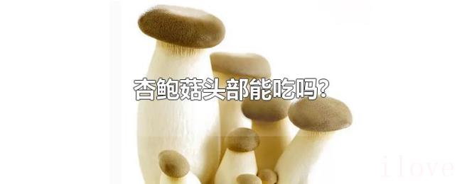 杏鲍菇头部能吃吗? 杏鲍菇头部能吃吗?