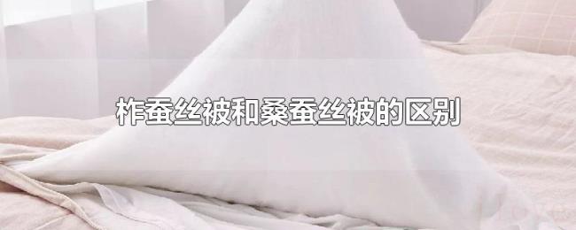柞蚕丝被和桑蚕丝被的区别
