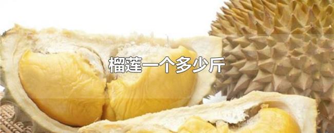 榴莲一个多少斤 榴莲一个多少斤