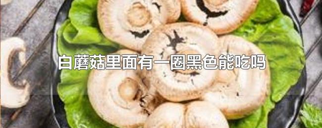 白蘑菇里面有一圈黑色能吃吗 白蘑菇里面有一圈黑色能吃吗