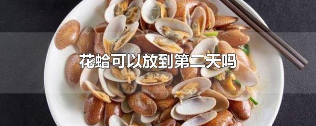 花蛤可以放到第二天吗 花蛤可以放到第二天吗