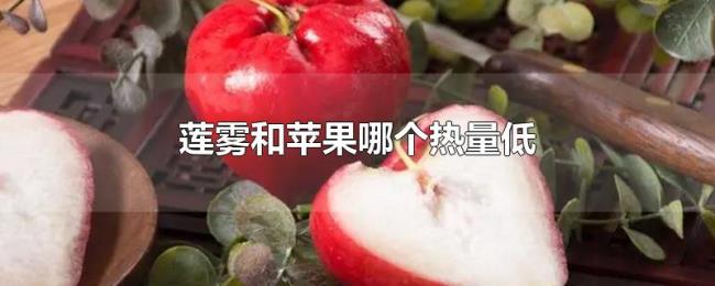 莲雾和苹果哪个热量低
