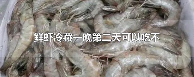 鲜虾冷藏一晚第二天可以吃不 鲜虾冷藏一晚第二天可以吃不