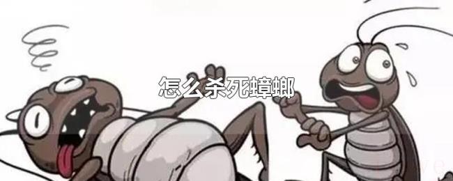 怎么杀死蟑螂