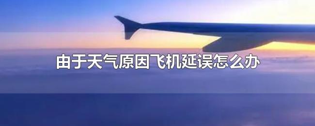 由于天气原因飞机延误怎么办