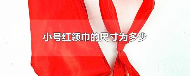 小号红领巾的尺寸为多少