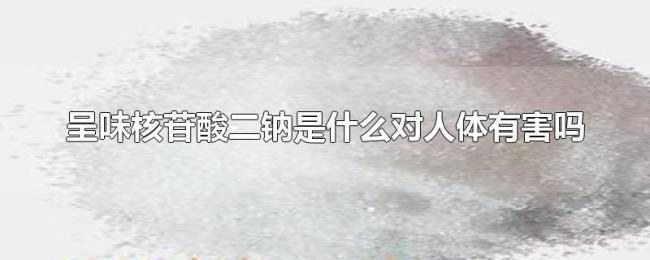 呈味核苷酸二钠是什么对人体有害吗 呈味核苷酸二钠是什么对人体有害吗