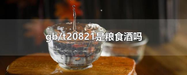 gb/t20821是粮食酒吗