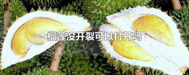 榴莲没开裂可以打开吗