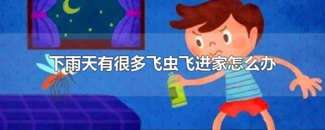 下雨天有很多飞虫飞进家怎么办 下雨天有很多飞虫飞进家怎么办