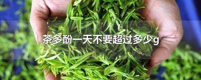 茶多酚一天不要超过多少g 茶多酚一天不要超过多少g