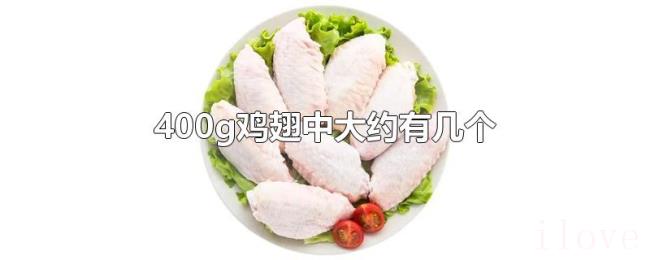 400g鸡翅中大约有几个 400g鸡翅中大约有几个