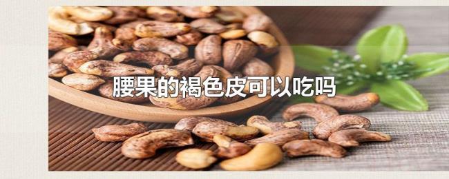 腰果的褐色皮可以吃吗 腰果的褐色皮可以吃吗