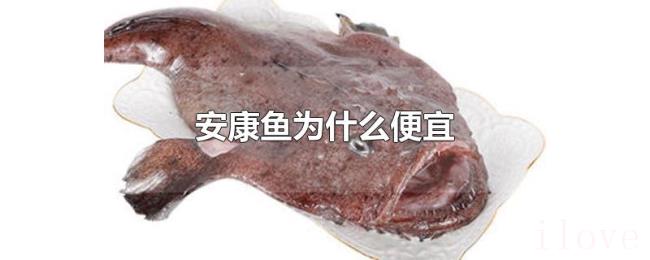 安康鱼为什么便宜 安康鱼为什么便宜