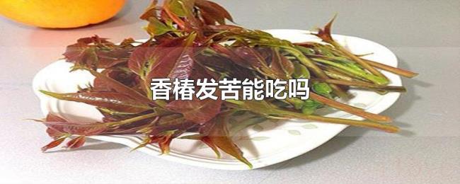 香椿发苦能吃吗 香椿发苦能吃吗