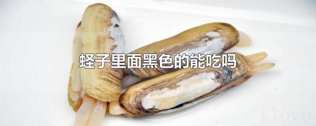 蛏子里面黑色的能吃吗