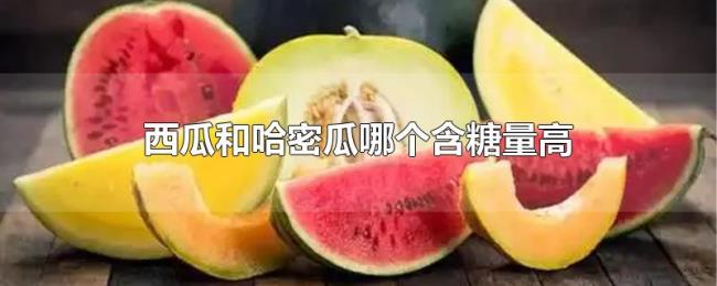 西瓜和哈密瓜哪个含糖量高 西瓜和哈密瓜哪个含糖量高