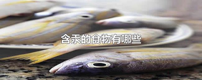 含汞的食物有哪些