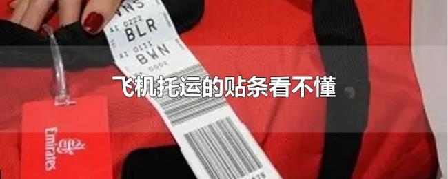 飞机托运的贴条看不懂 飞机托运的贴条看不懂