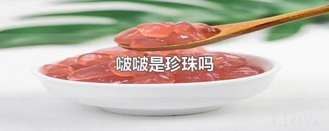 啵啵是珍珠吗 啵啵是珍珠吗