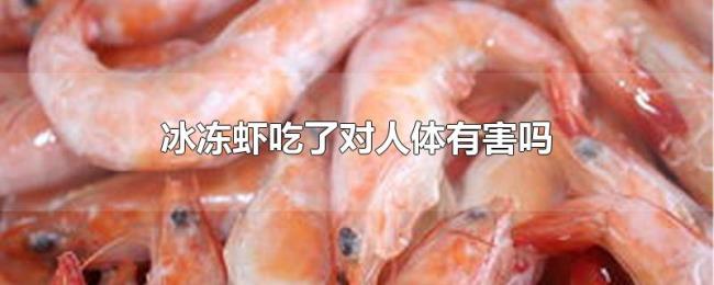 冰冻虾吃了对人体有害吗 冰冻虾吃了对人体有害吗