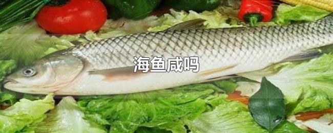 海鱼咸吗 海鱼咸吗