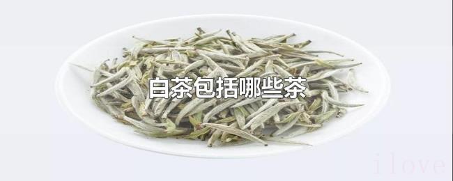 白茶包括哪些茶 白茶包括哪些茶