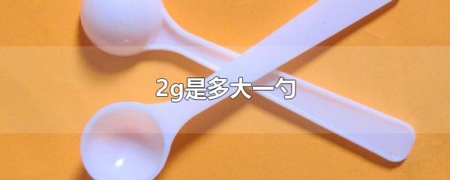 2g是多大一勺 2g是多大一勺
