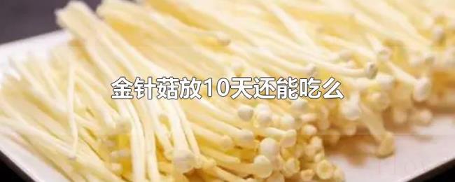 金针菇放10天还能吃么 金针菇放10天还能吃么