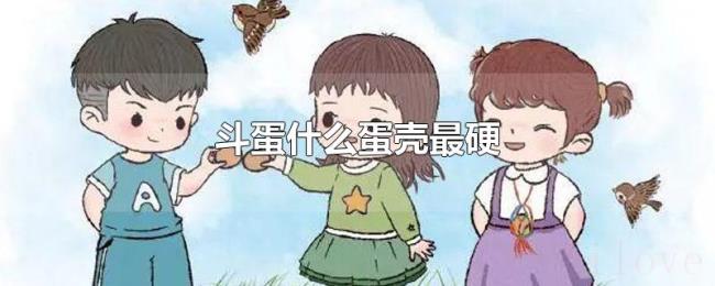 斗蛋什么蛋壳最硬