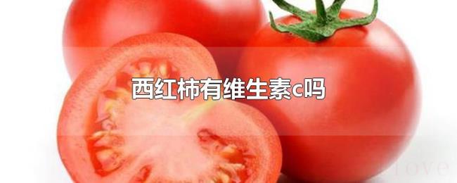 西红柿有维生素c吗 西红柿有维生素c吗