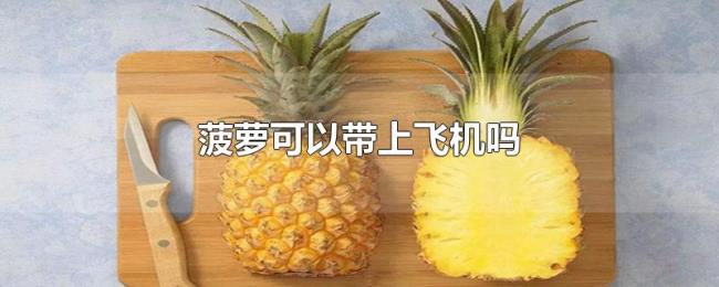 菠萝可以带上飞机吗 菠萝可以带上飞机吗