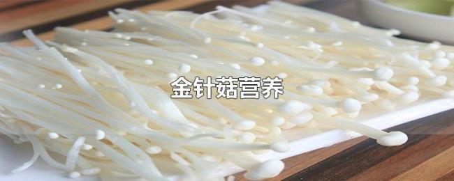 金针菇营养 金针菇营养