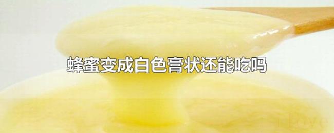 蜂蜜变成白色膏状还能吃吗 蜂蜜变成白色膏状还能吃吗