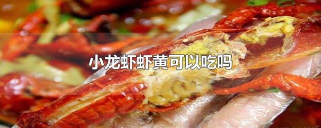 小龙虾虾黄可以吃吗 小龙虾虾黄可以吃吗