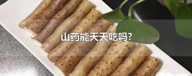山药能天天吃吗? 山药能天天吃吗?
