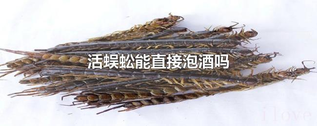 活蜈蚣能直接泡酒吗 活蜈蚣能直接泡酒吗